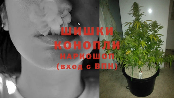 mdpv Бронницы