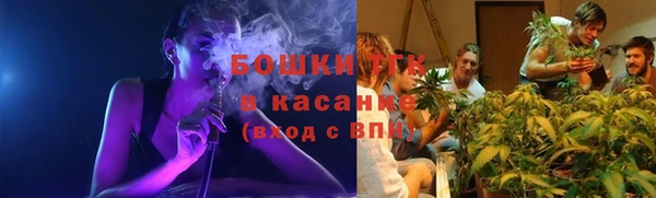 гашик Бородино