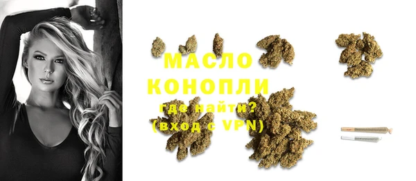 гашик Бородино