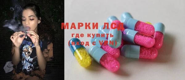 гашик Бородино