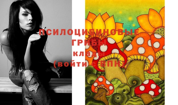 гашик Бородино