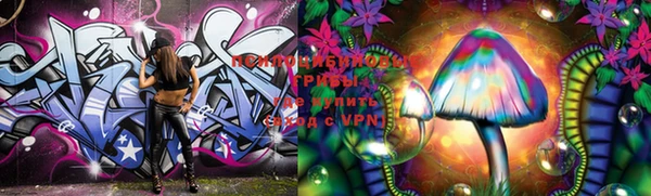 mdpv Бронницы