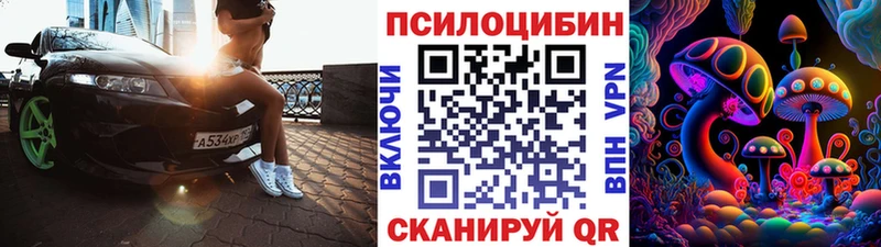 купить наркотики сайты  Нижний Новгород  это какой сайт  Псилоцибиновые грибы Cubensis 