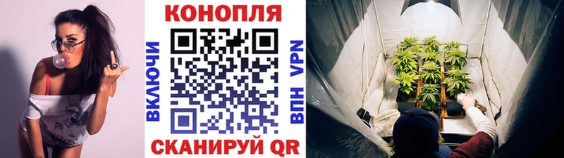 Канабис THC 21%  купить наркотики цена  Нижний Новгород 